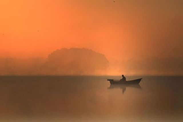 Beautiful nature (44 photos)