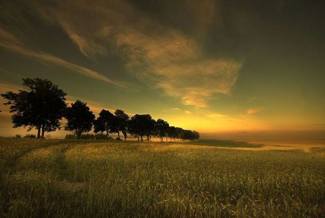 Beautiful nature (44 photos)