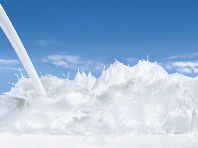 Great creative works from Studioros (76 photos)