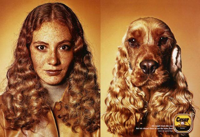 Find the differences  (5 photos)