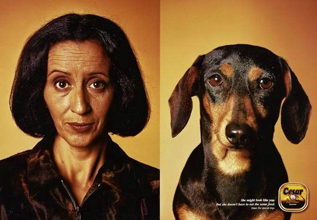 Find the differences  (5 photos)