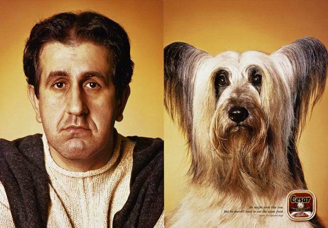 Find the differences  (5 photos)