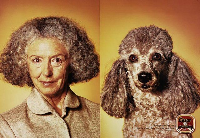 Find the differences  (5 photos)