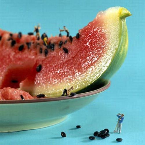 Hmm, yummy (14 photos)