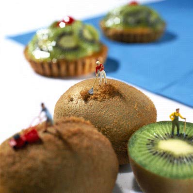 Hmm, yummy (14 photos)