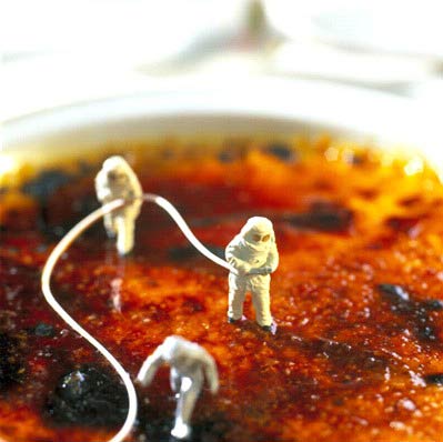 Hmm, yummy (14 photos)