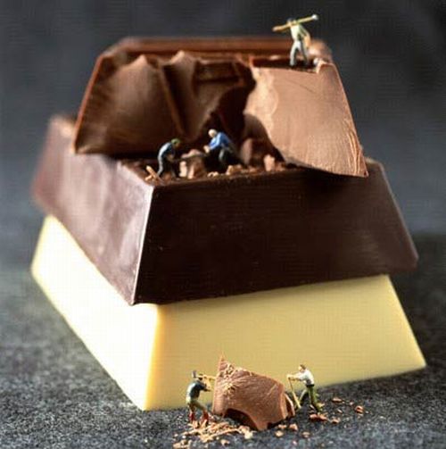 Hmm, yummy (14 photos)