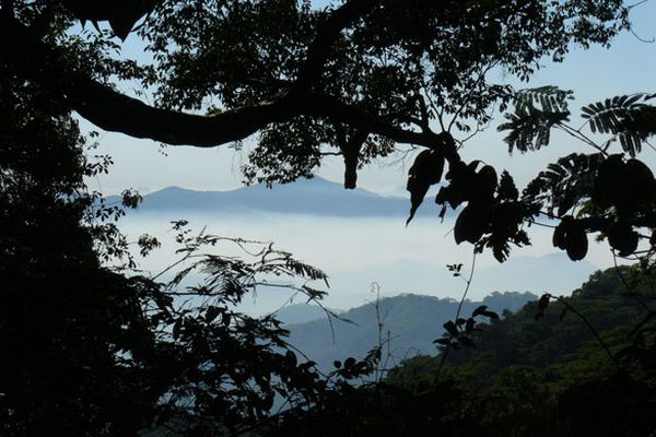 Mount Mabu, the last untouched place n the world (17 photos)