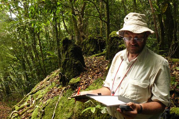 Mount Mabu, the last untouched place n the world (17 photos)