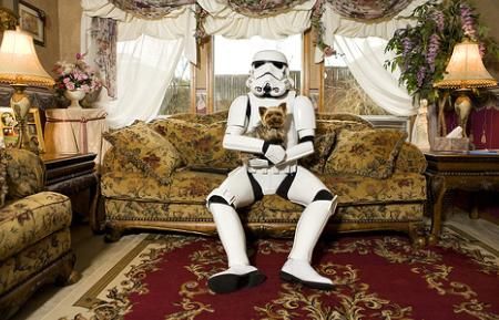 Stormtroopers in everyday life (23 photos)