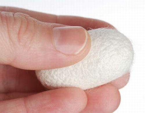 How do they produce silk (13 photos)