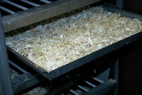 How do they produce silk (13 photos)