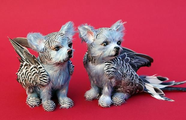 Dogs may fly: the artwork of Emily Valentine Bullock (8 photos)