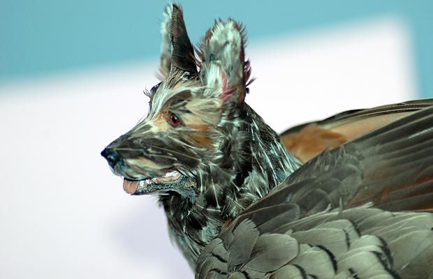 Dogs may fly: the artwork of Emily Valentine Bullock (8 photos)