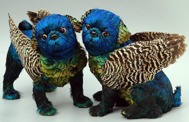 Dogs may fly: the artwork of Emily Valentine Bullock (8 photos)