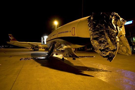 An inflatable plane (42 photos)