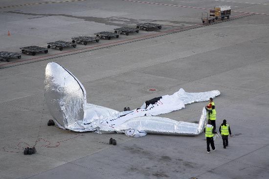 An inflatable plane (42 photos)