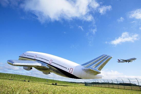 An inflatable plane (42 photos)