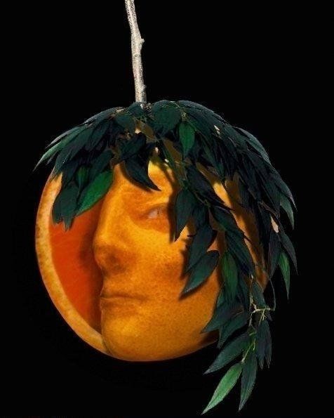 Celebrities, vegetables and photoshop (23 photos)