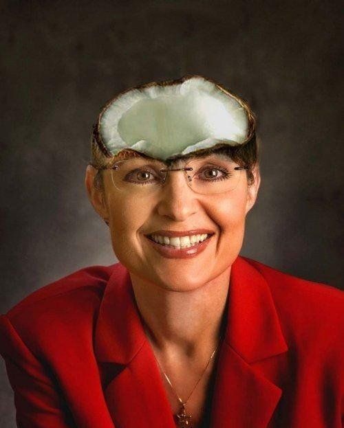 Celebrities, vegetables and photoshop (23 photos)