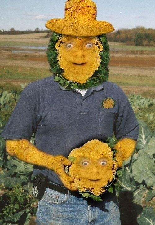 Celebrities, vegetables and photoshop (23 photos)