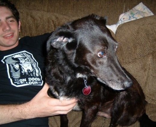 Will this dog live till tomorrow? ;) (3 photos)