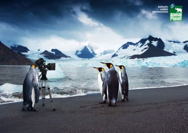 Creative ads (27 photos)
