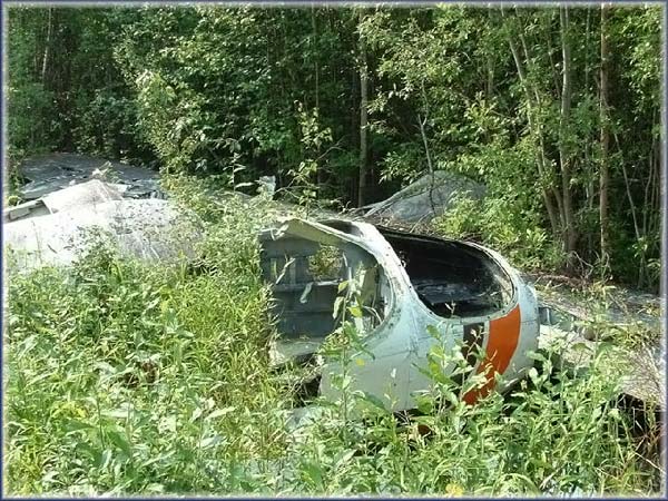 Abandoned planes (29 photos)