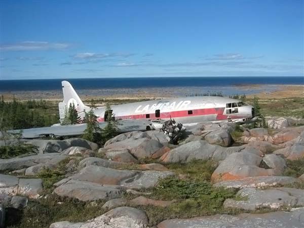 Abandoned planes (29 photos)