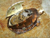 Curiosities and bonus pictures