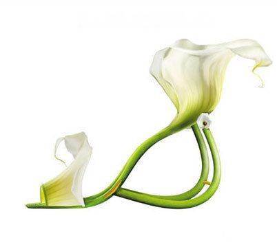 Shoes made from plants (14 photos)