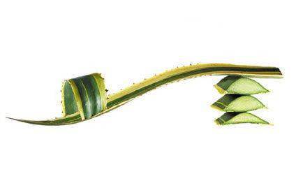 Shoes made from plants (14 photos)