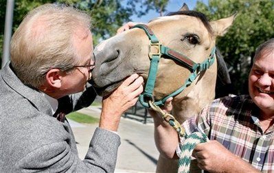 Kisses with animals (13 photos)