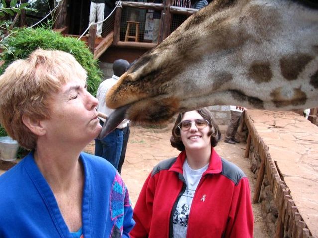 Kisses with animals (13 photos)