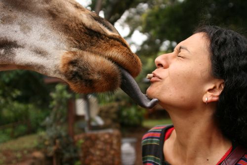 Kisses with animals (13 photos)