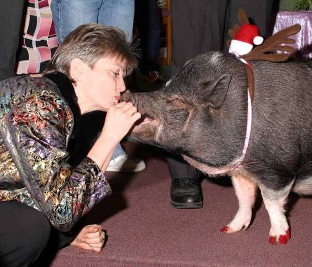 Kisses with animals (13 photos)