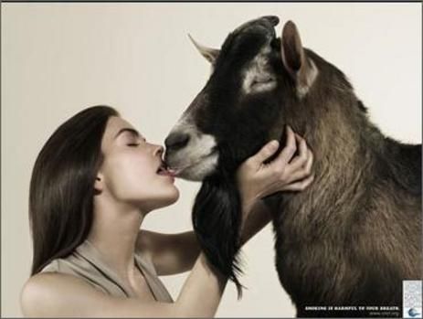 Kisses with animals (13 photos)