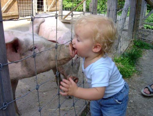 Kisses with animals (13 photos)