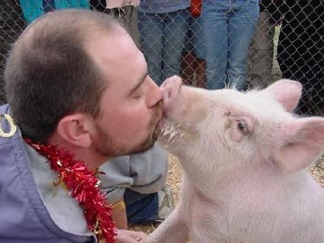 Kisses with animals (13 photos)