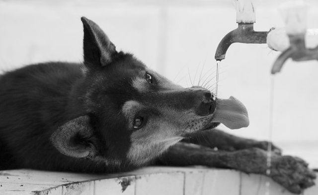 I need something to drink right now )) (16 photos)