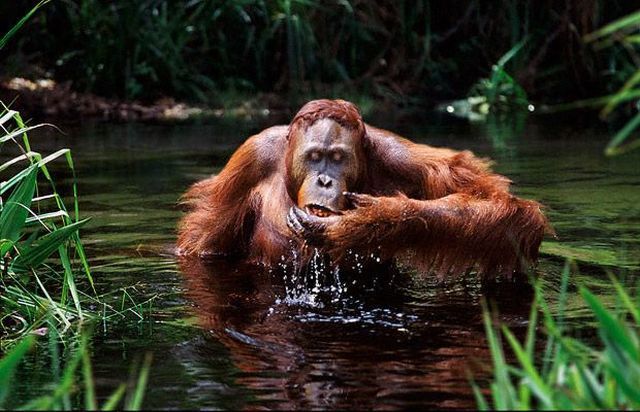 I need something to drink right now )) (16 photos)