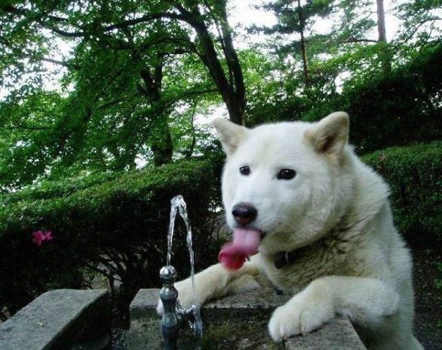 I need something to drink right now )) (16 photos)