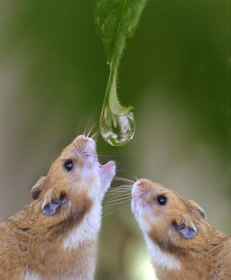 I need something to drink right now )) (16 photos)
