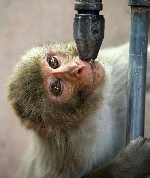 I need something to drink right now )) (16 photos)