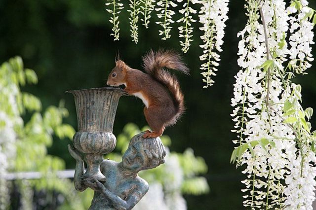 I need something to drink right now )) (16 photos)