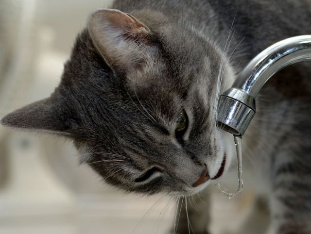 I need something to drink right now )) (16 photos)