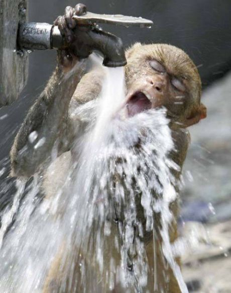 I need something to drink right now )) (16 photos)