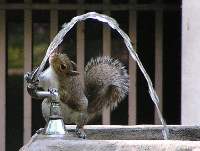I need something to drink right now )) (16 photos)