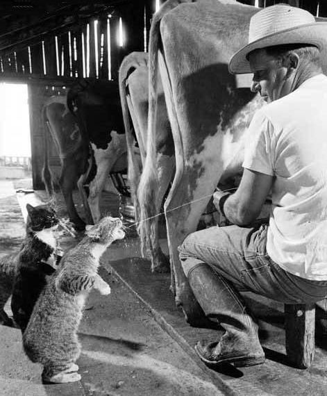 I need something to drink right now )) (16 photos)