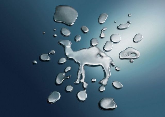 Creative pictures by Juan Salvarredy (39 photos)